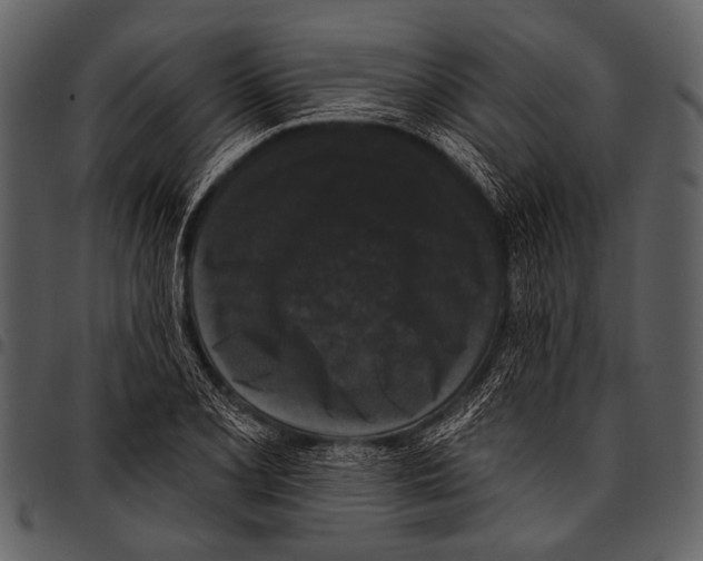 X0000097491077200803201525