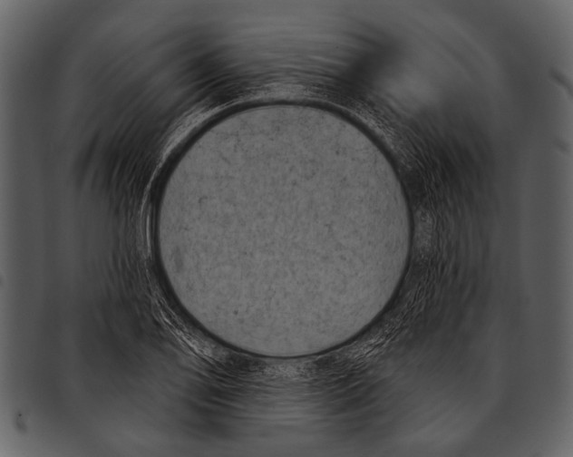 X0000097491078200803201525