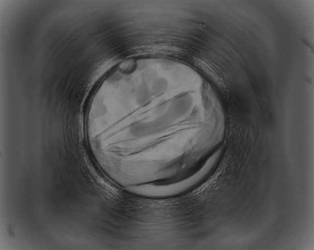 X0000097491079200803201525