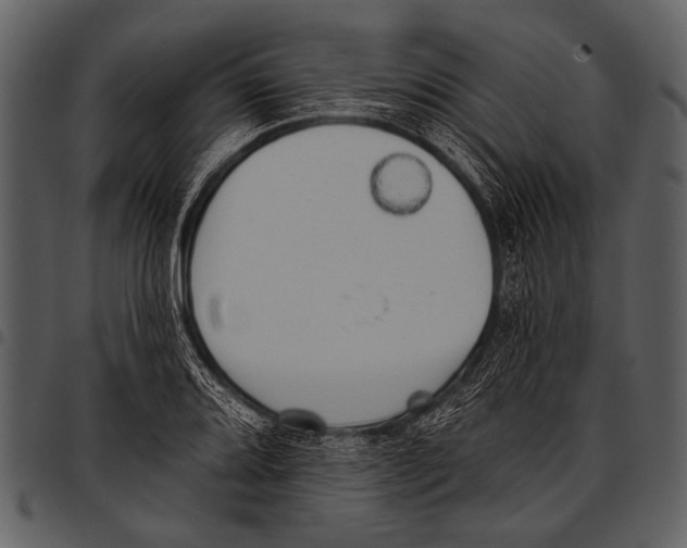 X0000097491080200803201525