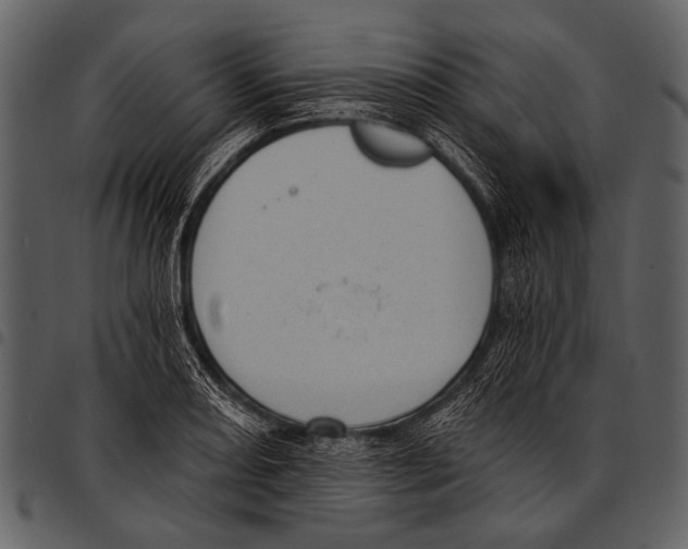 X0000097491082200803201525