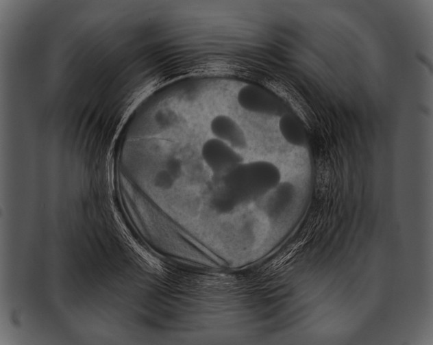 X0000097491083200803201525