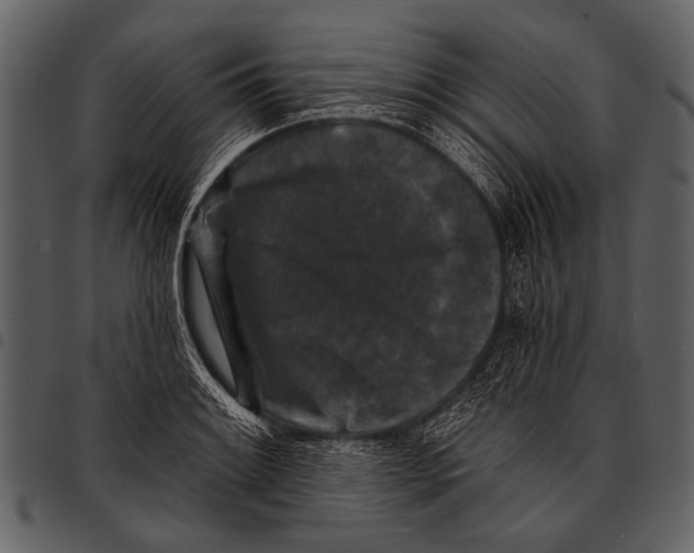 X0000097491084200803201525