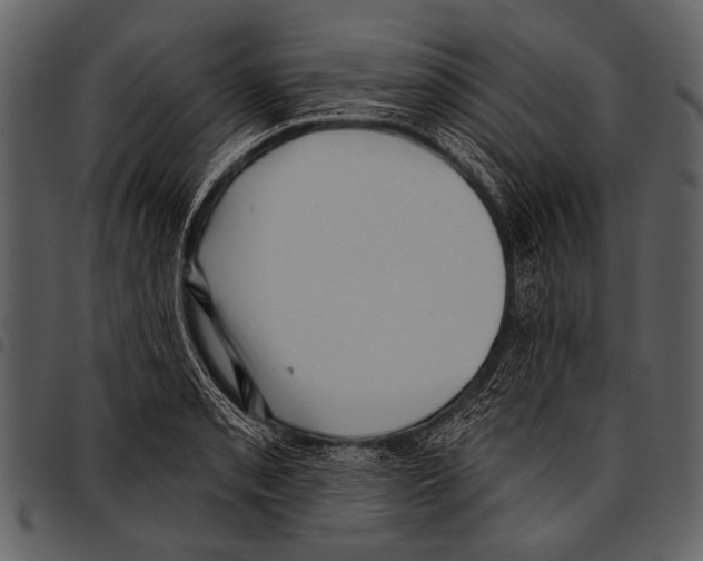 X0000097491085200803201525