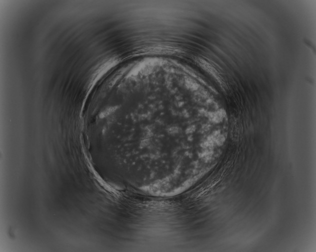 X0000097491087200803201525