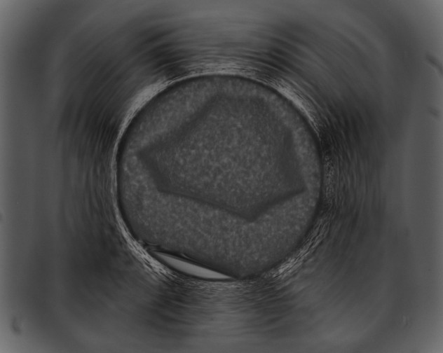 X0000097491088200803201525