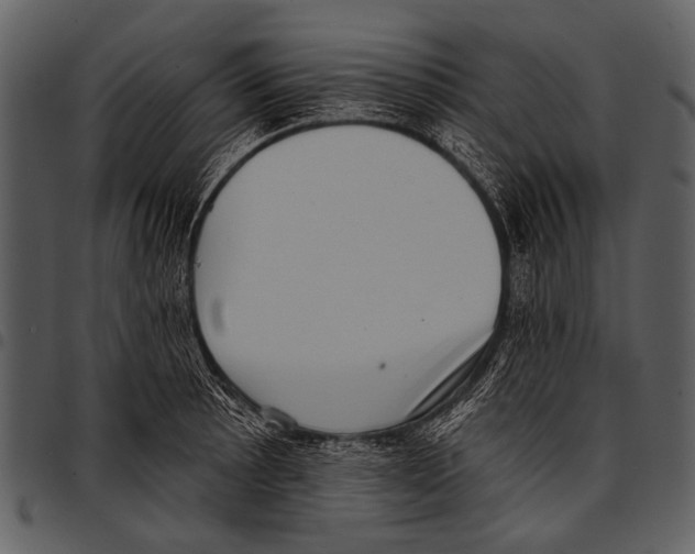 X0000097491089200803201525