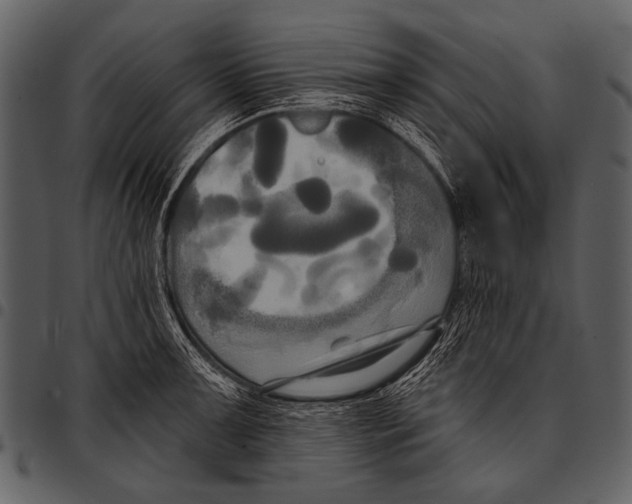 X0000097491091200803201525