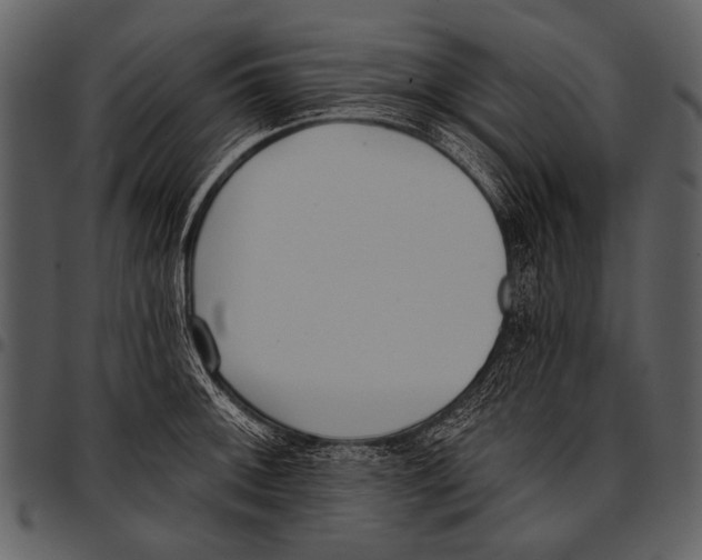 X0000097491092200803201525