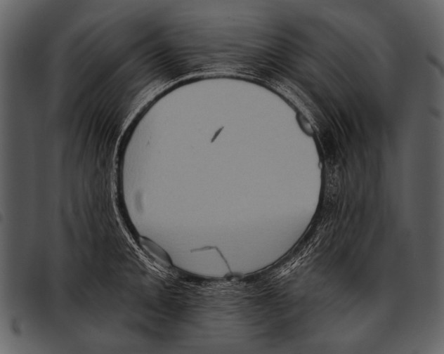 X0000097491093200803201525