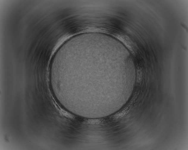 X0000097491094200803201525