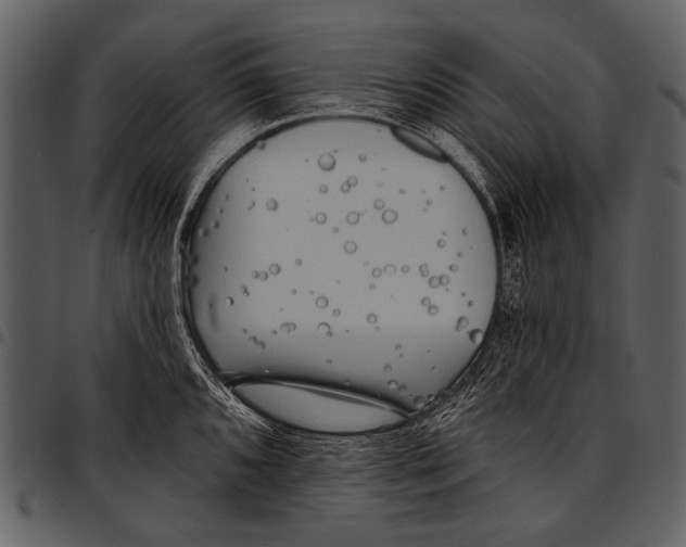 X0000097491096200803201525