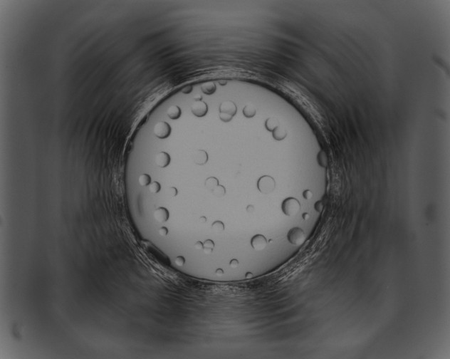 X0000097491097200803201525