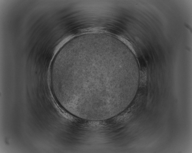 X0000097491098200803201525