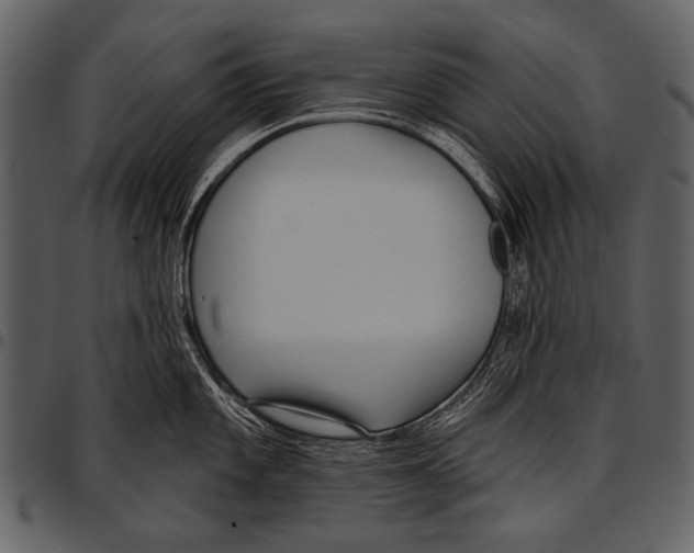 X0000097491101200803201525