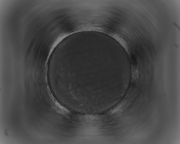 X0000097491102200803201525