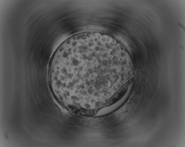 X0000097491103200803201525