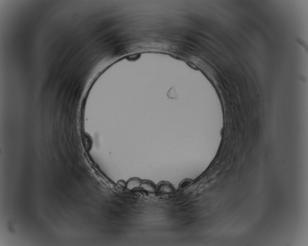 X0000097491104200803201525