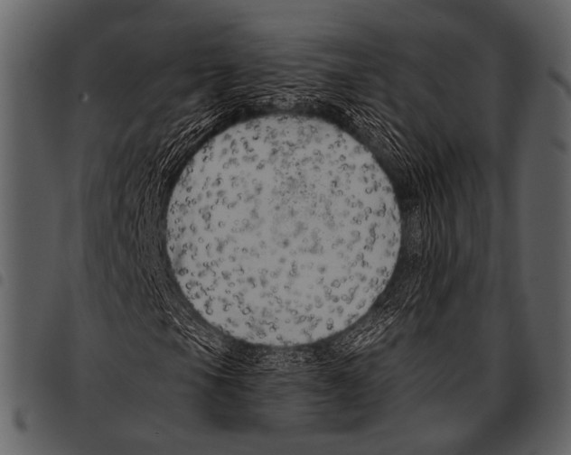 X0000097491105200803201524