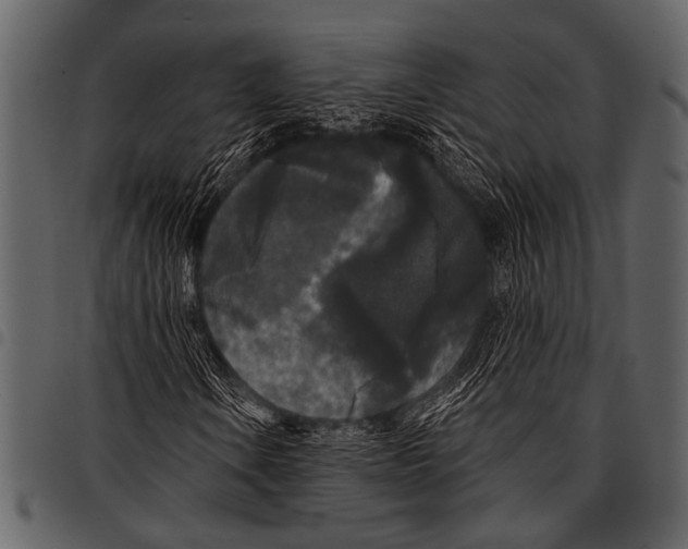 X0000097491106200803201524