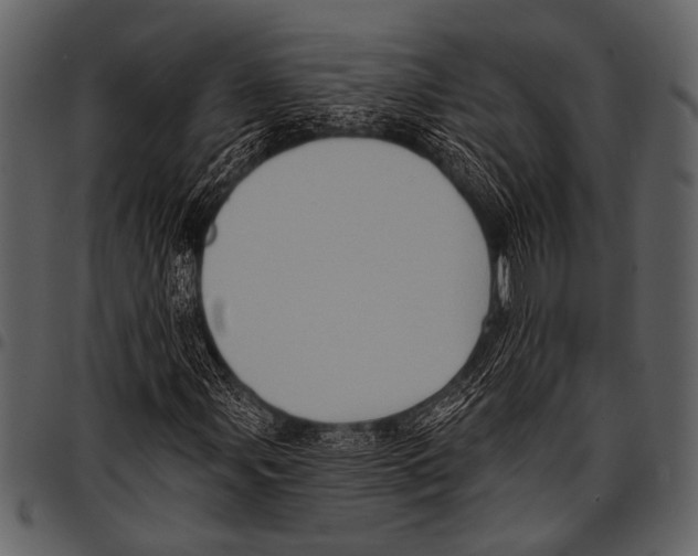 X0000097491107200803201525