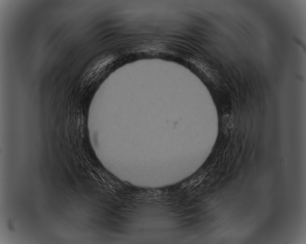 X0000097491111200803201525