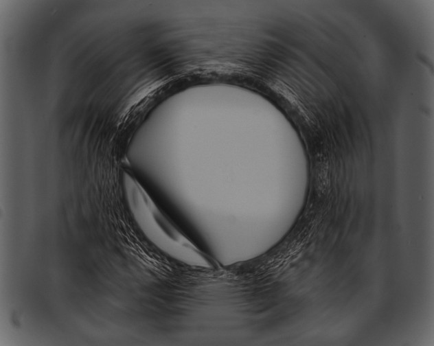 X0000097491112200803201525