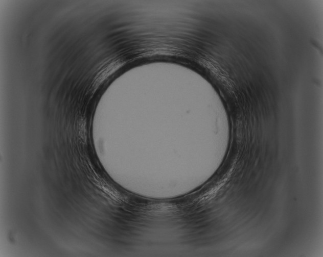 X0000097491113200803201525