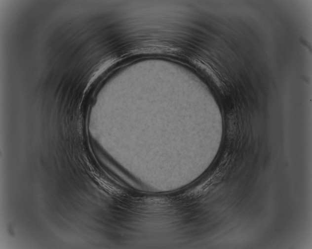 X0000097491114200803201525