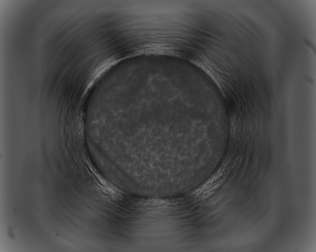 X0000097491115200803201525