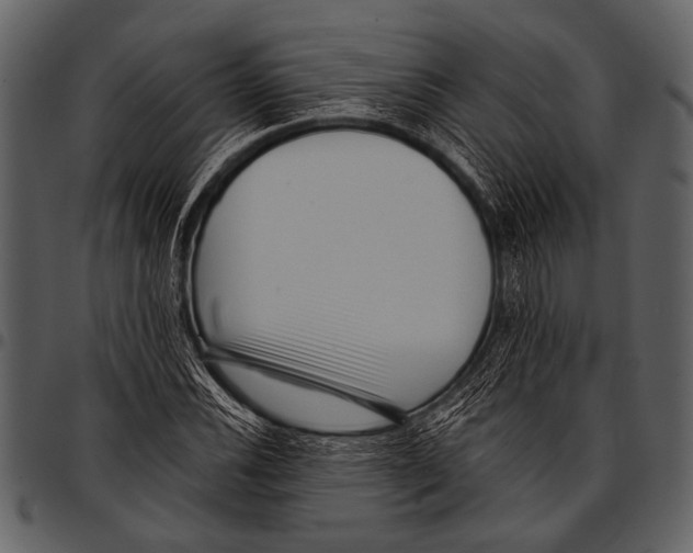 X0000097491116200803201525