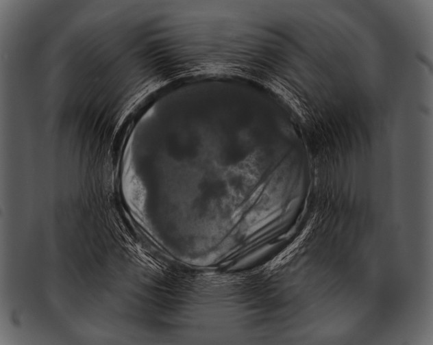 X0000097491117200803201525