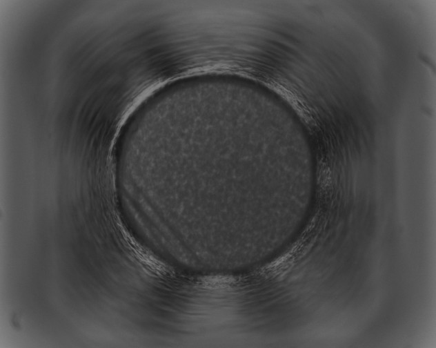 X0000097491118200803201525