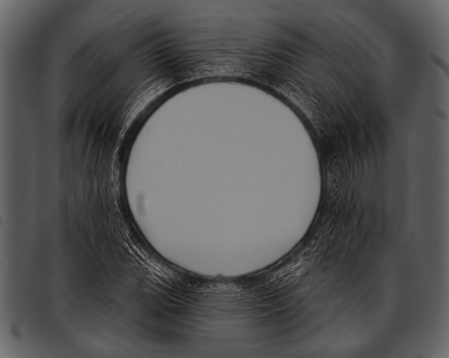 X0000097491119200803201525