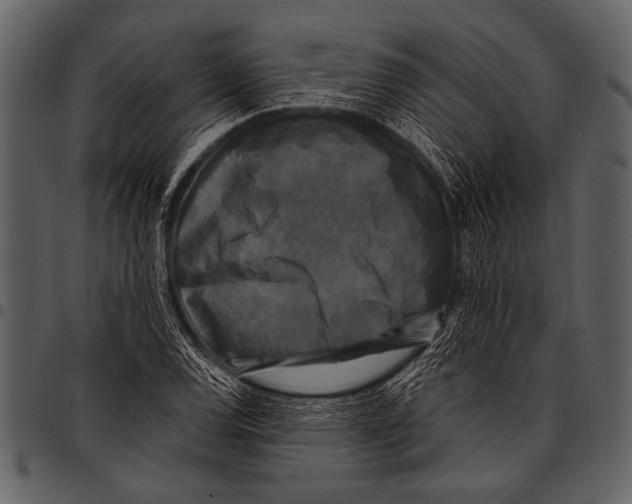 X0000097491120200803201525