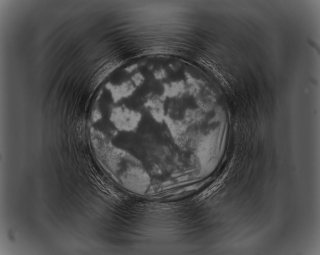 X0000097491121200803201525