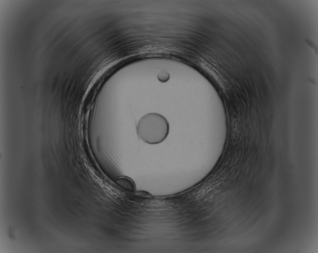 X0000097491124200803201525