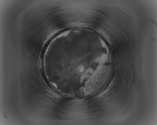 X0000097491125200803201525