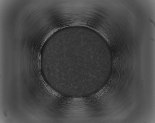 X0000097491126200803201525