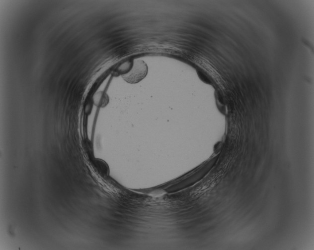 X0000097491128200803201525