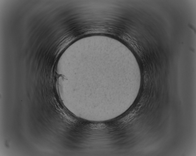 X0000097491129200803201525