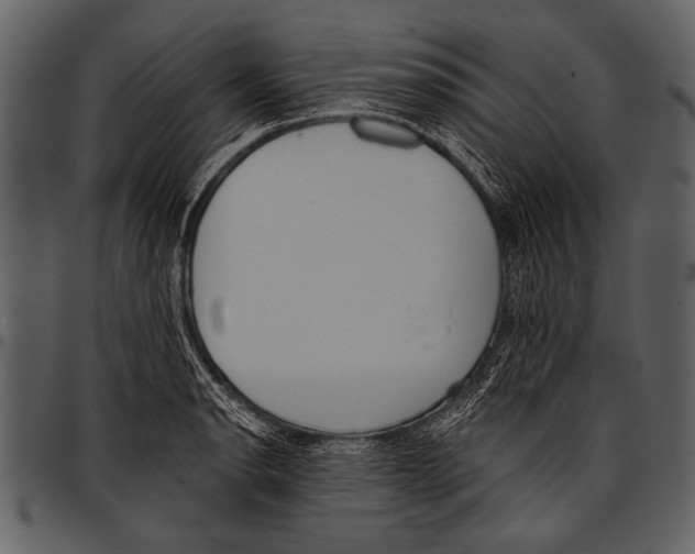 X0000097491134200803201525