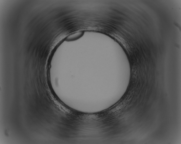 X0000097491135200803201525