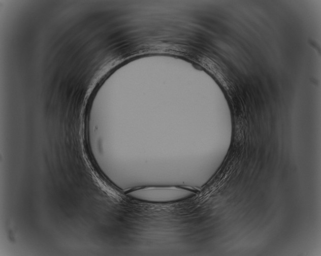 X0000097491136200803201525