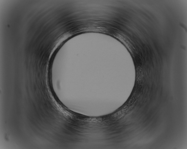 X0000097491139200803201525