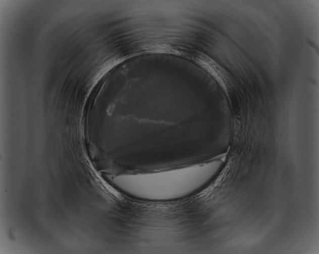 X0000097491141200803201525