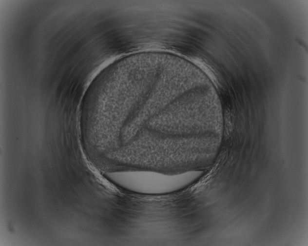 X0000097491142200803201525