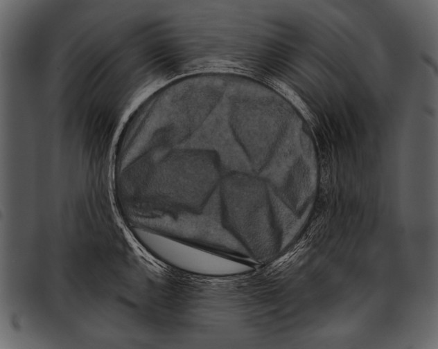 X0000097491144200803201525