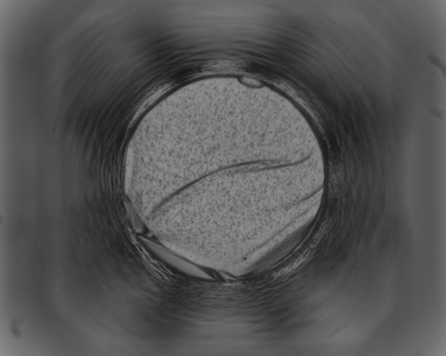 X0000097491145200803201525