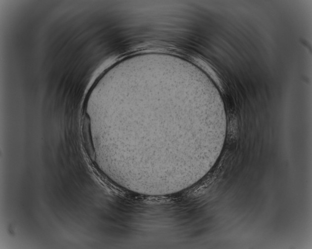 X0000097491146200803201525